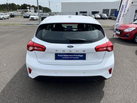 FORD Focus 1.5 EcoBlue 95ch Trend Business à vendre à Montargis - Image n°6