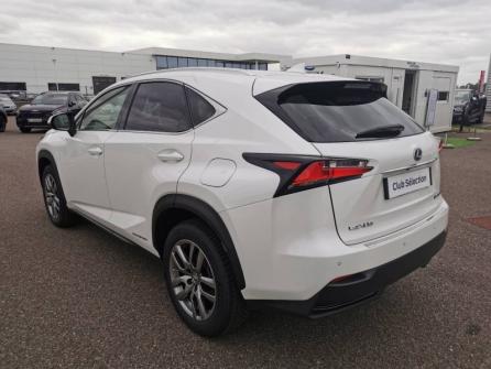 LEXUS NX 300h 4WD Luxe à vendre à Montargis - Image n°7