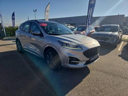FORD Kuga 2.0 EcoBlue 150ch mHEV ST-Line à vendre à Dijon - Image n°3